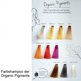 Farbkarte Erbe Colore/Organic Pigments